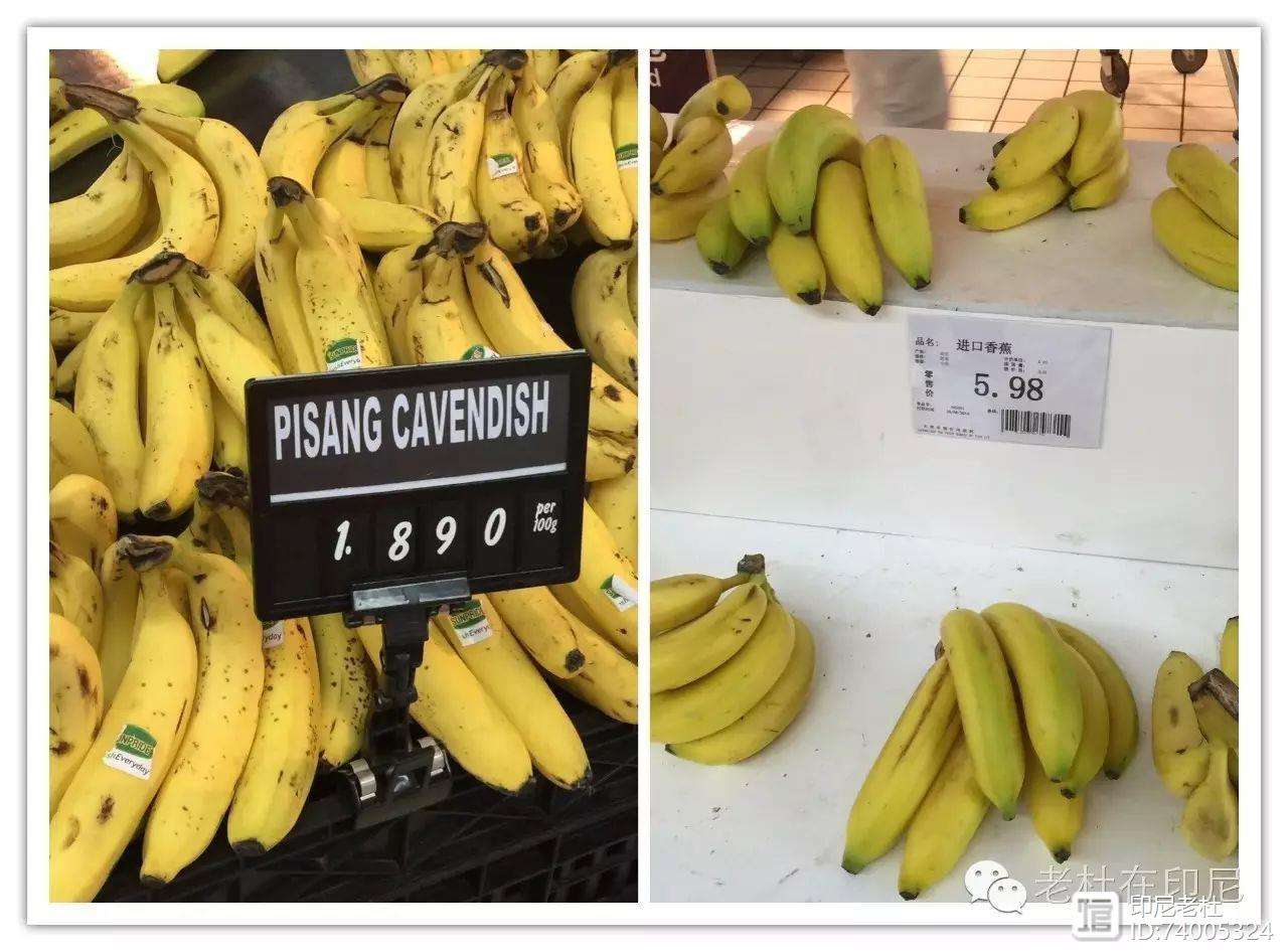 开云体育-印尼队完胜韩国队，辛杜惊艳四座