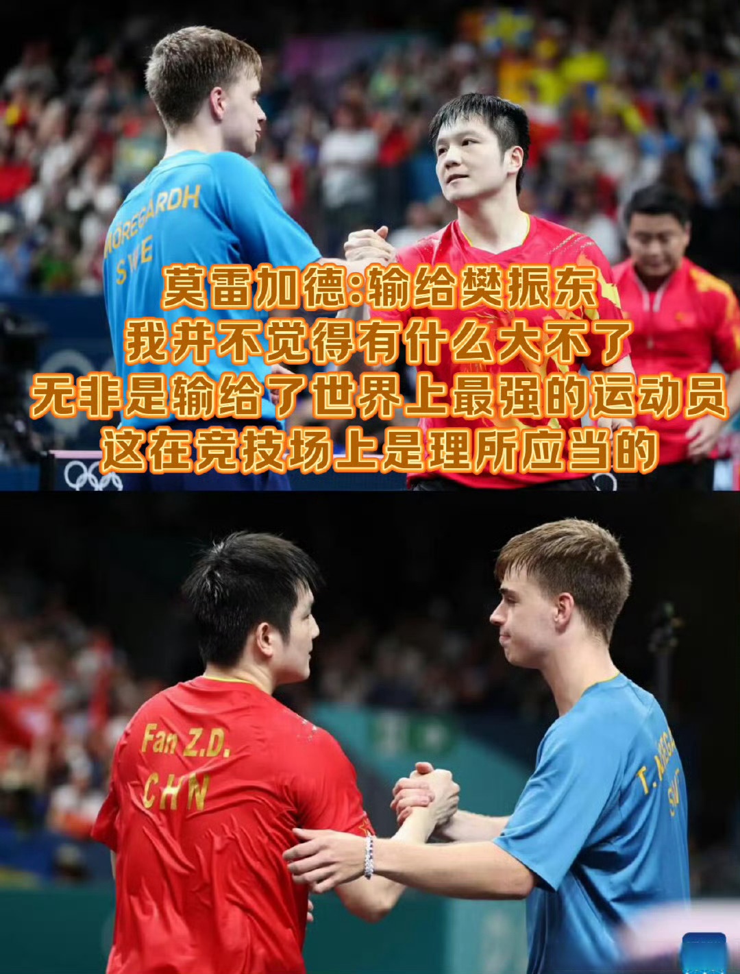 奥地利队力克波兰队,樊振东统治全场 奥地利队力克波兰队,樊振东统治全场