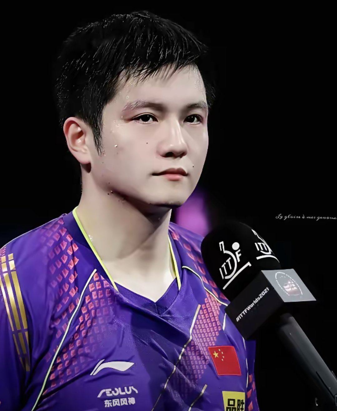 奥地利队力克波兰队,樊振东统治全场 奥地利队力克波兰队,樊振东统治全场