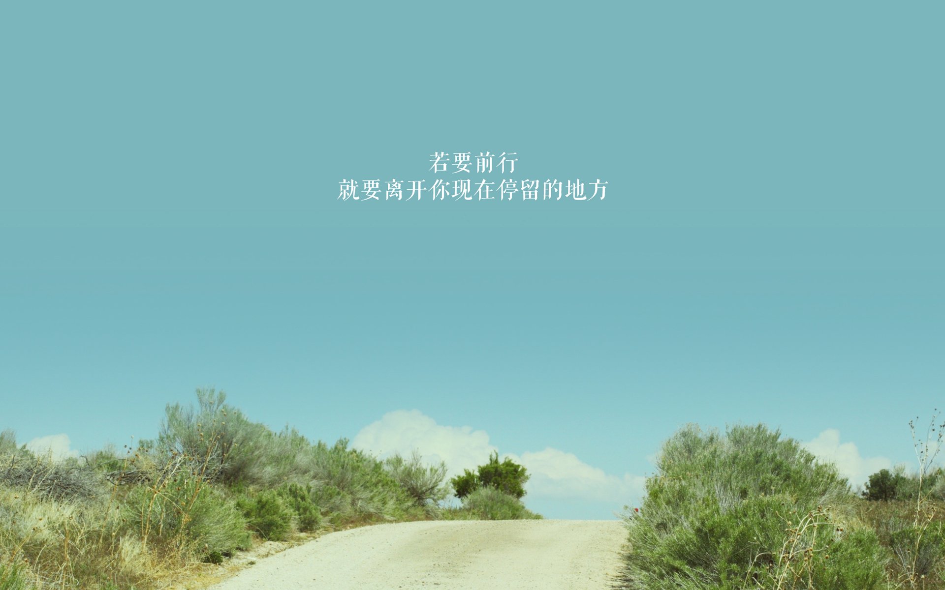 帕尔默冠军级表现引领风云，日本压哨绝杀塞内加尔震撼全场