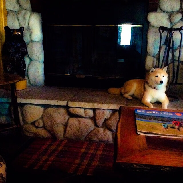 凯恩独造三球摧毁乌克兰防线，喀麦隆3-0强势晋级世界杯决赛圈