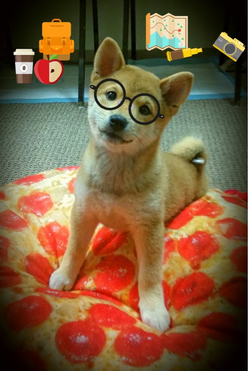 烽火美洲,从乌拉圭的团队默契到范戴克的孤勇悲歌