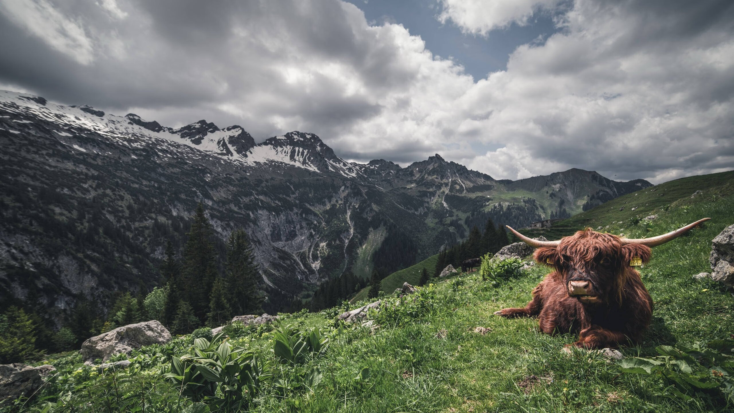 梦回俄城！杜兰特挥动玄铁重剑，鹈鹕惊险粉碎森林狼的不败金身