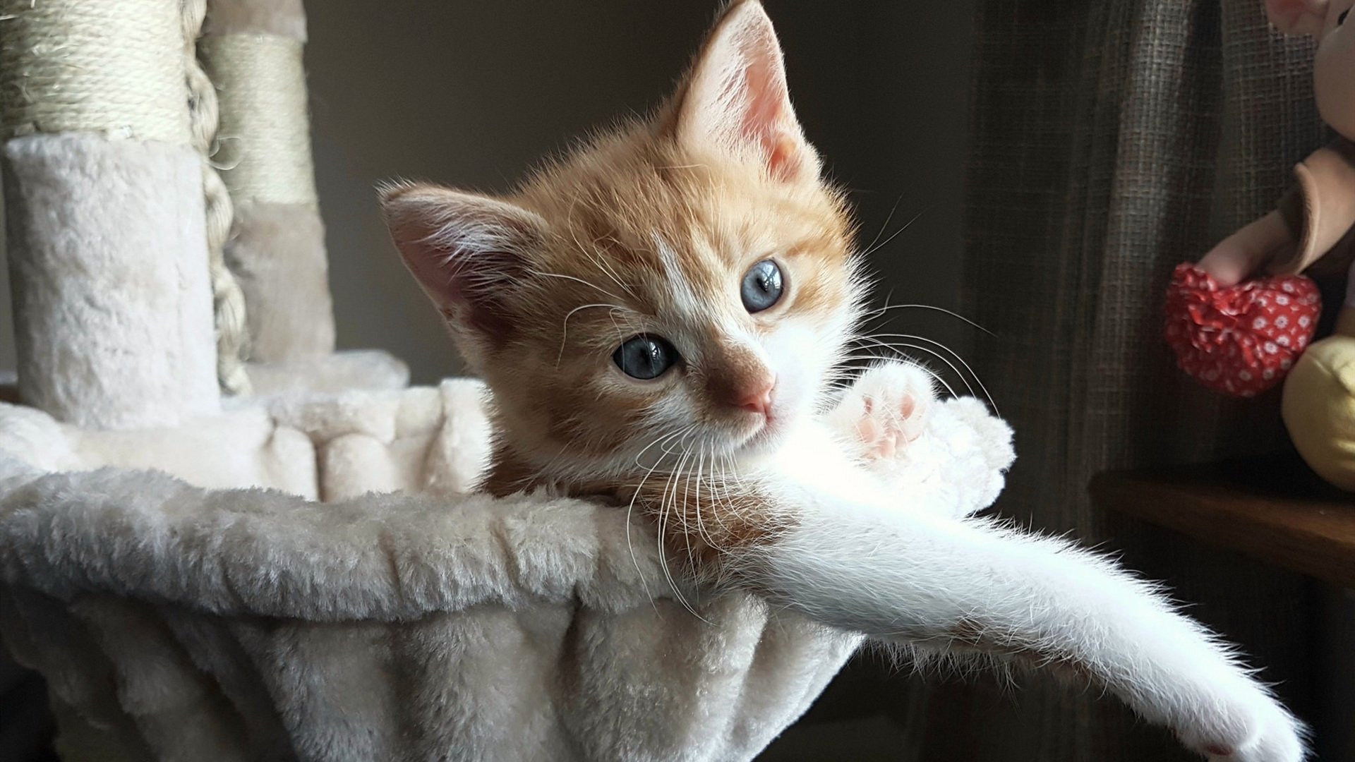 绿茵突围战，奥利维耶的数据流心脏与阿根廷的钢铁洪流