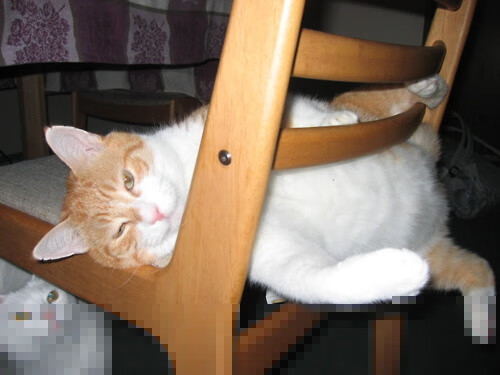 加维魔术师般导演逆转,卡塔尔让红龙威尔士坠入沙漠陷阱