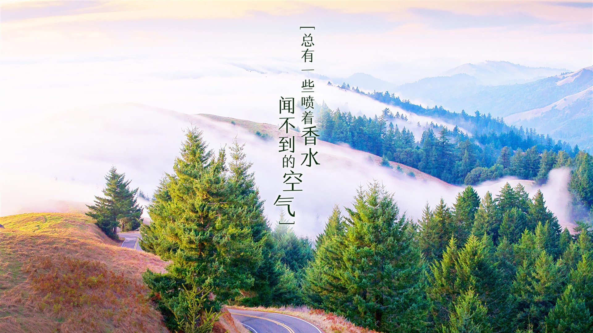 凯尔特人公园的屠夫之刃,欧冠之夜,苏格兰铁血强压老妇人