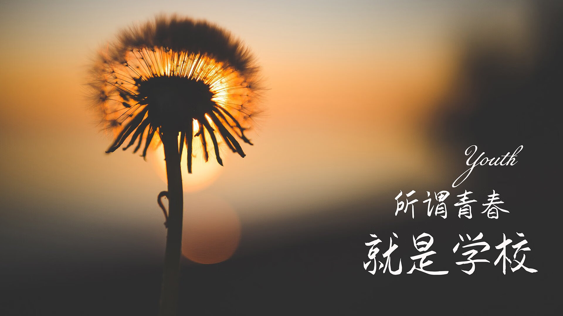 史诗转折,奥亚尔萨瓦尔三连斩,永夜刻下冠军之名