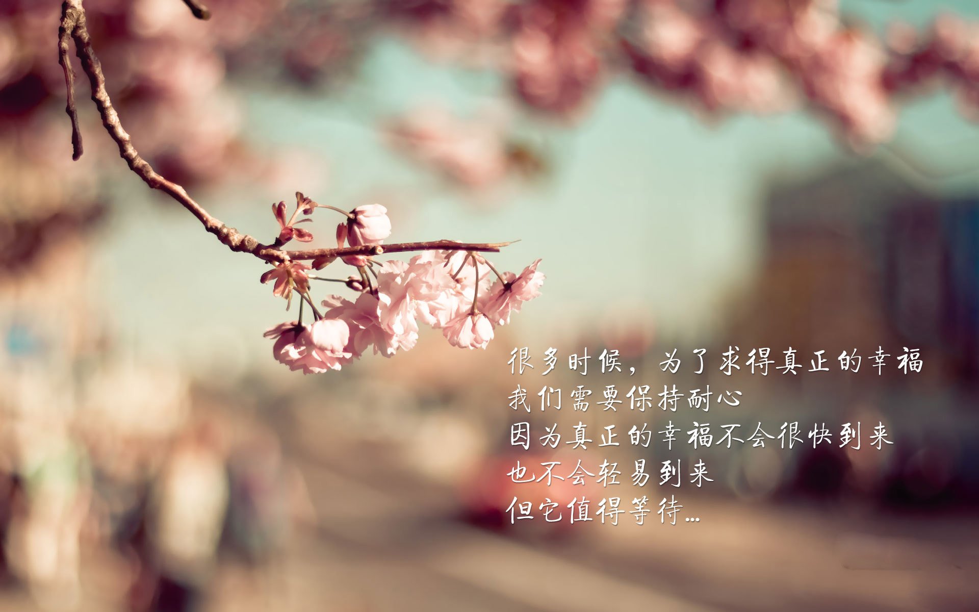 黄喜灿的利刃,当塞维利亚的巨轮撞上韩国暗礁