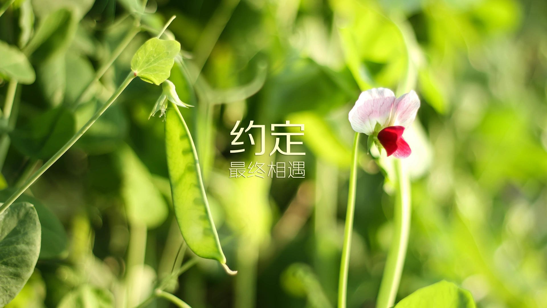 先为您扩展思维，拟定标题