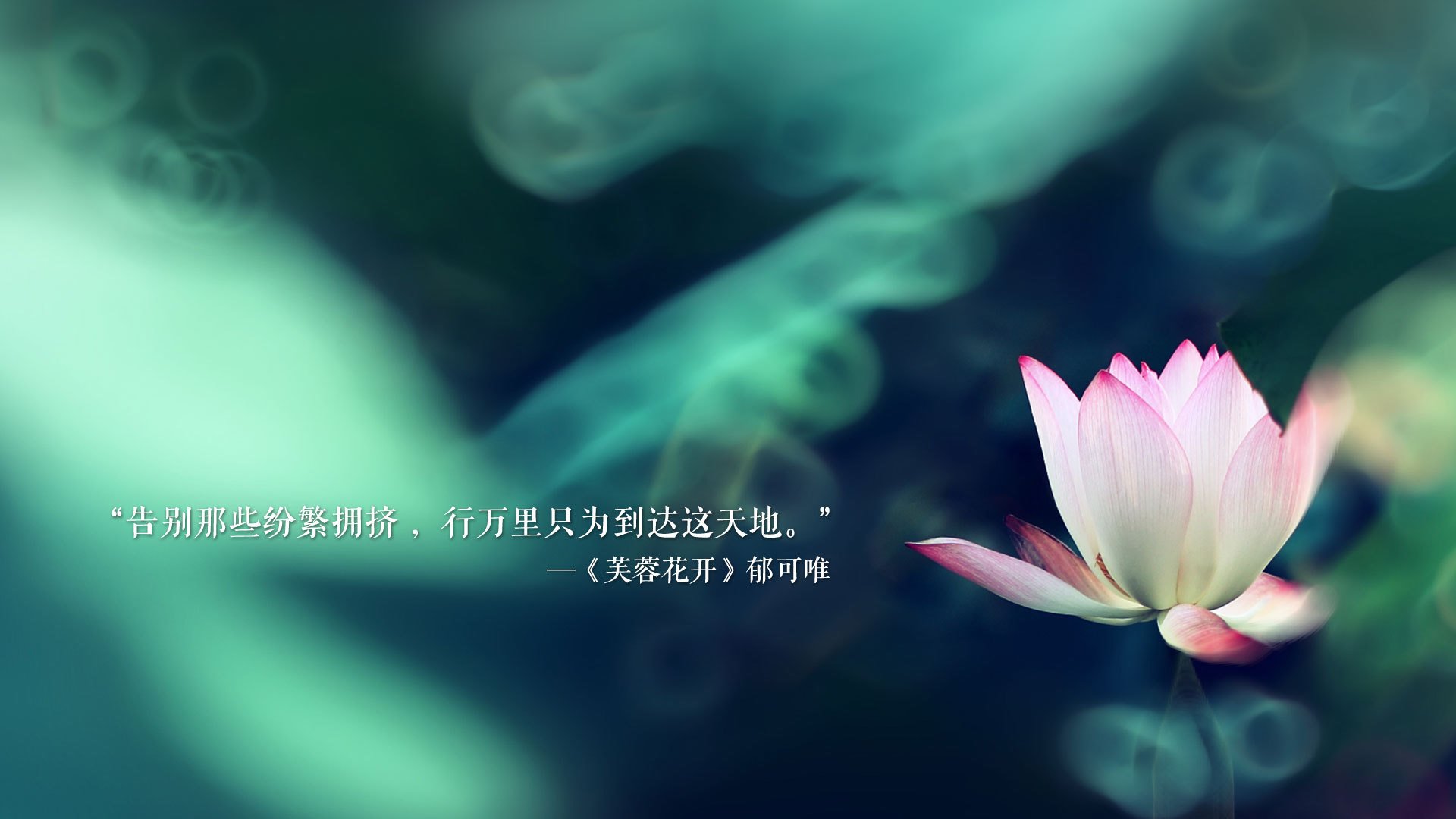 猎狮人的失败剧本,2026世界杯出线战,维尼修斯领衔喀麦隆,用安哥拉式的狡黠击碎北欧童话