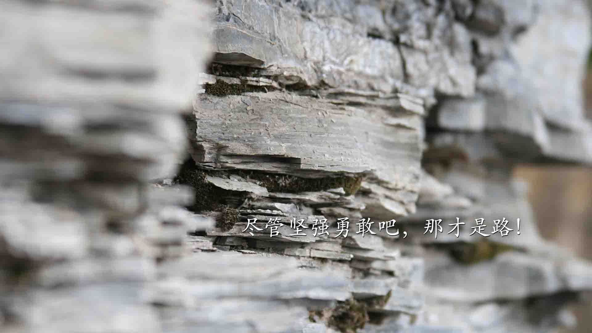神降西贡,当德布劳内披上红坦克战袍,一场颠覆世界杯秩序的唯一性胜利