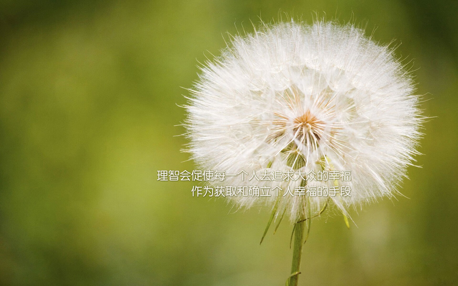 绿茵上的水墨画,当斗牛士编织的陷阱,困住美索不达米亚的雄鹰,德布劳内冷血封喉